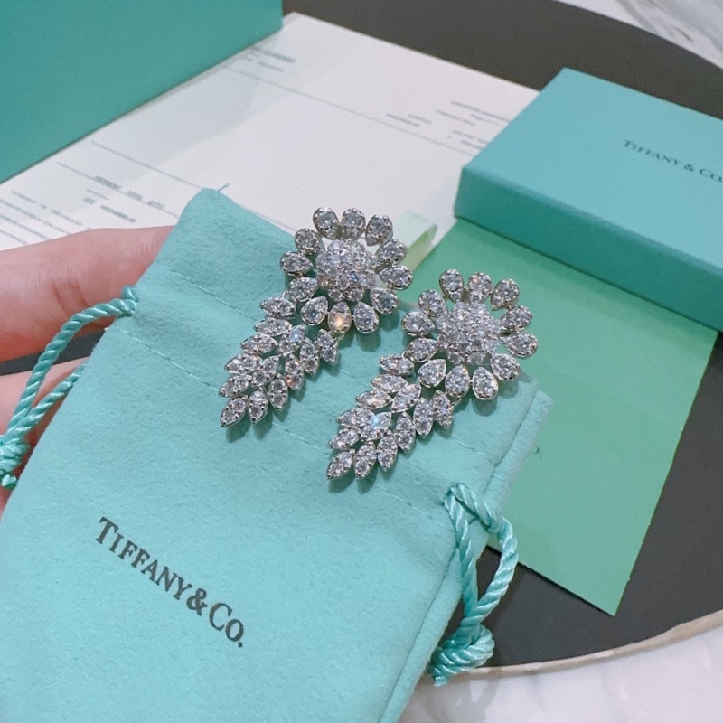 T*f*ny earrings